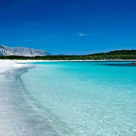 Ξενοδοχείο Soul Valley All-in Boutique With Yoga & Wellness Maracalagonis