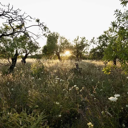 מלון Soul Valley All-in Boutique With Yoga & Wellness *