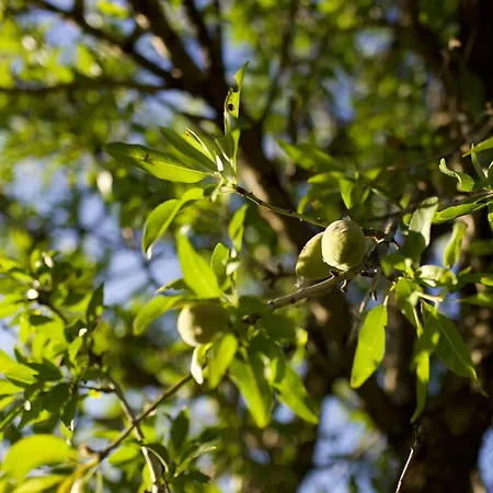 Soul Valley All-in Boutique With Yoga & Wellness * Maracalagonis