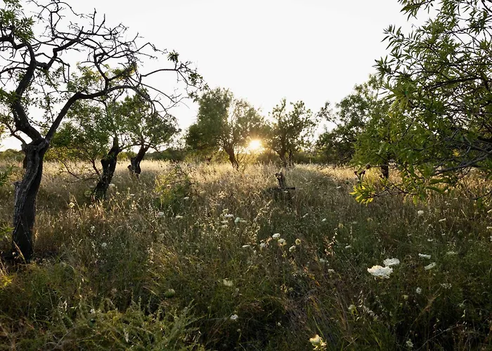 Hotel Soul Valley All-in Boutique With Yoga & Wellness *